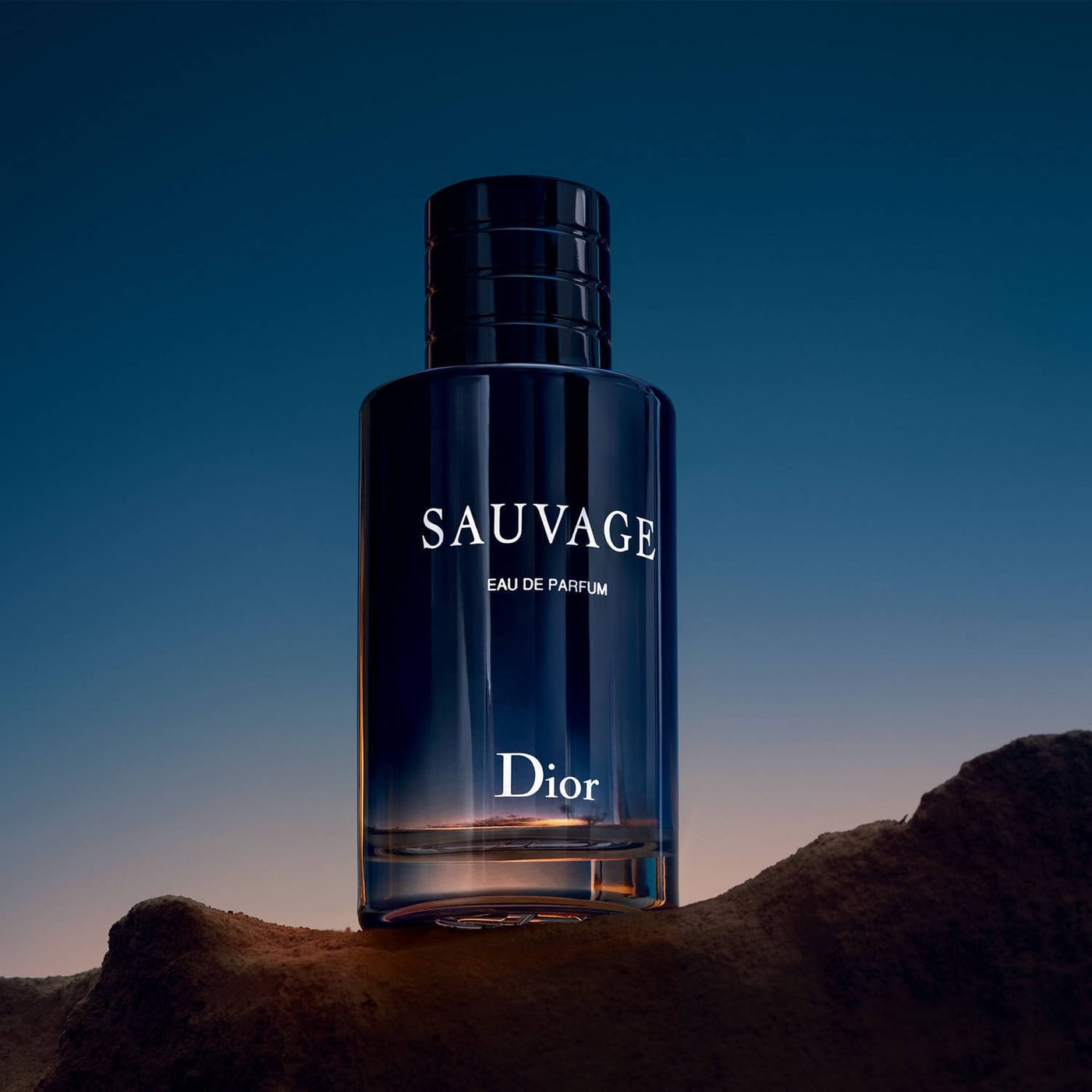 Dior Sauvage Impression – Long-Lasting Men’s Fragrance 100ml